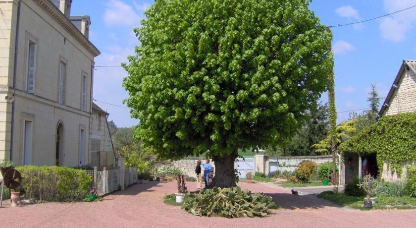 Les Roulottes De Cuzay Villa Roiffe Phòng bức ảnh